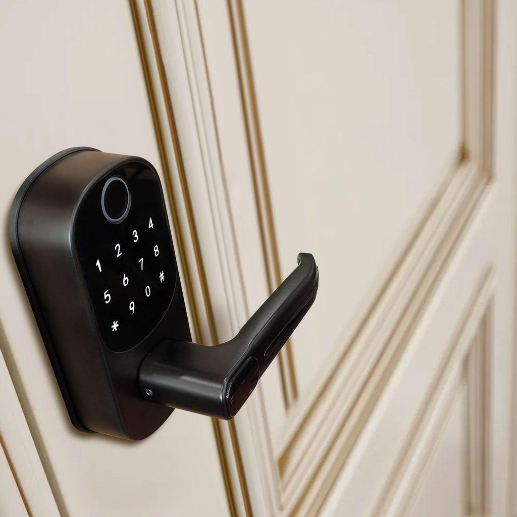 Ifyou Model L3 SmartHome
