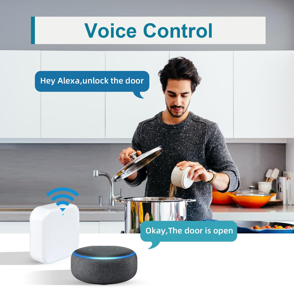 BioNet Wi-Fi G2 with Bluetooth Deadbolt Lock